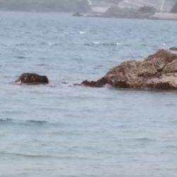 ファミリーフィッシング