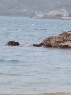 ファミリーフィッシング