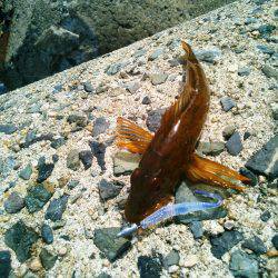 丹後に行って来ました！