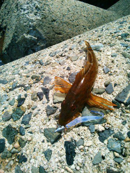 丹後に行って来ました！