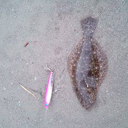 キスが釣りたくて