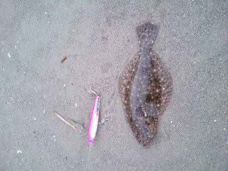 キスが釣りたくて