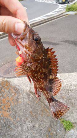 テトラで穴釣り