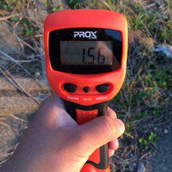 モンゴウイカ1.5キロ