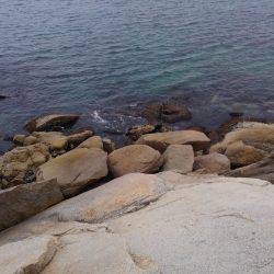 またまた行っちゃいました!