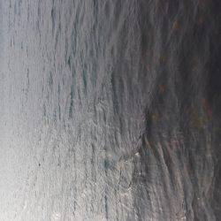 こういかエギング