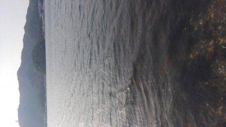 こういかエギング