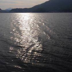 こういかに逢いたくて・