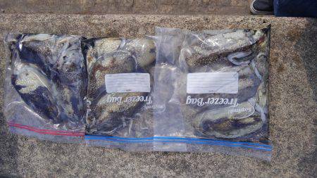 こうちゃん祭り！