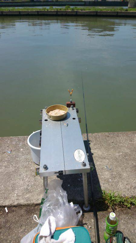 稚鮎初めてです