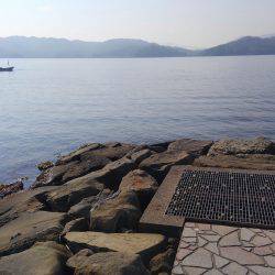 コウイカエギング