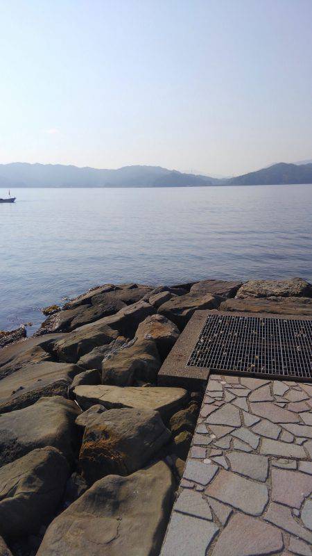 コウイカエギング