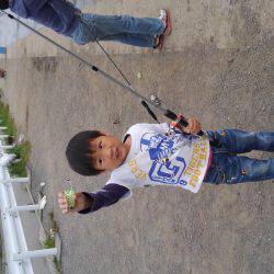 カタクチ回ってますね〜！