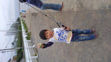 カタクチ回ってますね〜！