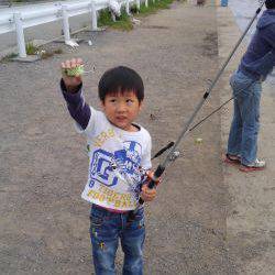 カタクチ回ってますね〜！