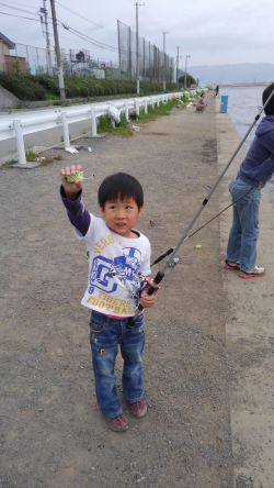 カタクチ回ってますね〜！