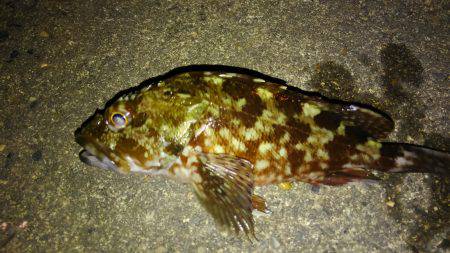 久々の出撃でした！