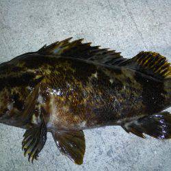 湾奥も賑わってます♪