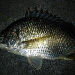 チニングランガン！