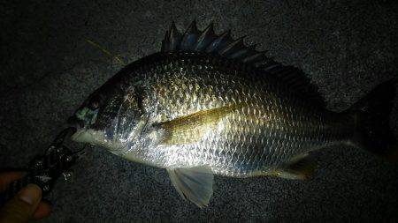 チニングランガン！