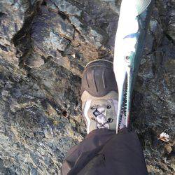 本命かなわず、長いのばかり・・・