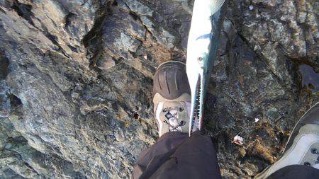 本命かなわず、長いのばかり・・・