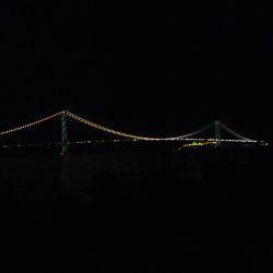 メバルは何処に？