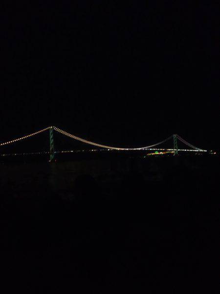 メバルは何処に？