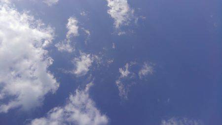 ミップル周辺で釣りをする(笑)。