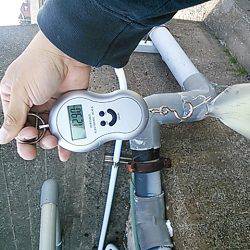 今年初のキロupget！(*^^)v