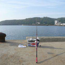 洲本港で満足な釣果