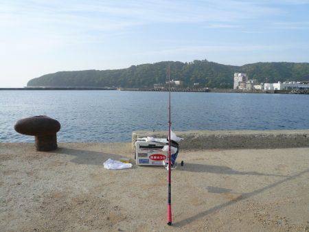 洲本港で満足な釣果