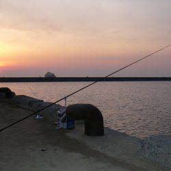シーズン最高の釣果