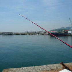 久々の浦港でキス狙い