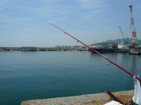 久々の浦港でキス狙い