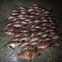 ライトワインドで爆釣♪