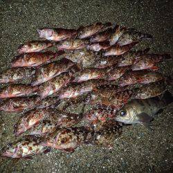 再びライトワインドパラダイスへ♪