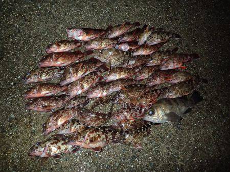 再びライトワインドパラダイスへ♪