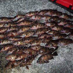 こちらもライトワインドパラダイス♪