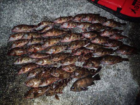 こちらもライトワインドパラダイス♪