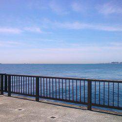 今季初グレ1枚!