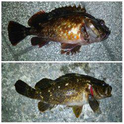 釣り人で賑わってました（笑）