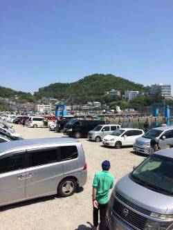 GWイワシで大賑わいです