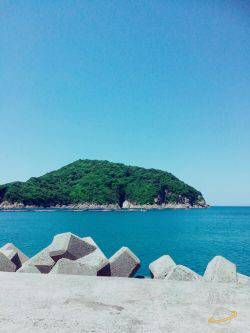 やっときた！アコウ