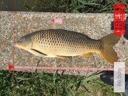 ランカーゲットでも？