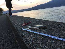 シーバスロッドで投釣