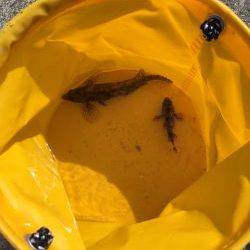 強風の中でちょい投げなど