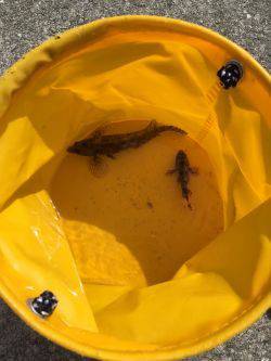 強風の中でちょい投げなど