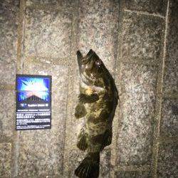 サイトフィッシング