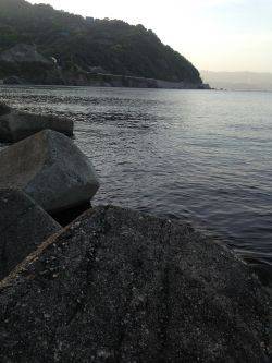 雨上がりの夜空に